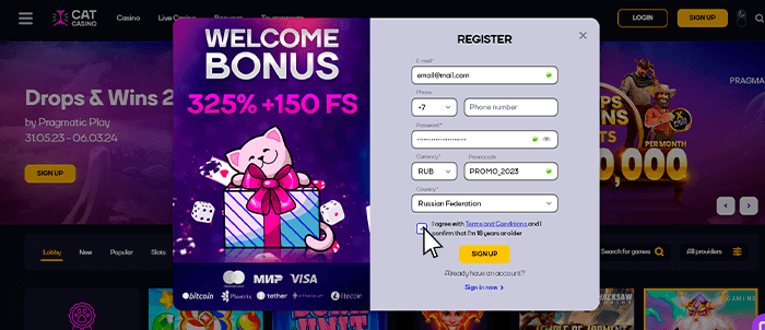 Кэт казино регистрация - Шаг 6